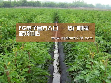 种植基地三