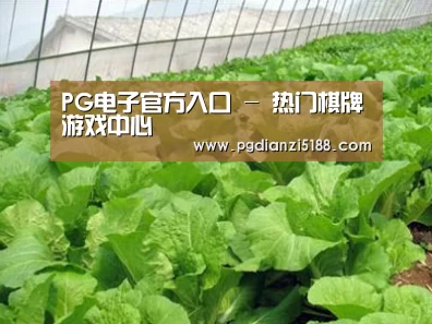 种植基地一