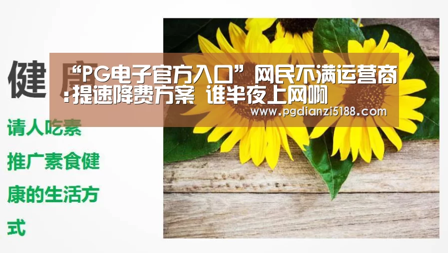 “PG电子官方入口”网民不满运营商:提速降费方案 谁半夜上网啊(图2) PG麻将APP下载