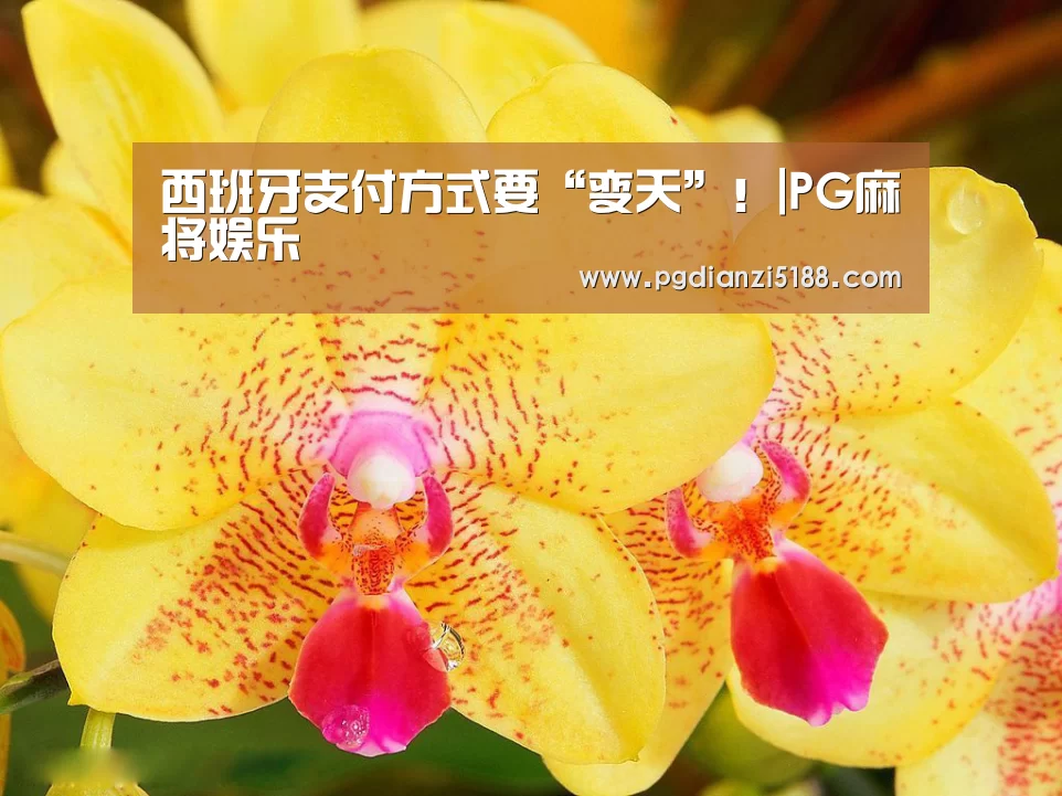 西班牙支付方式要“变天”!|PG麻将娱乐(图1) PG麻将娱乐