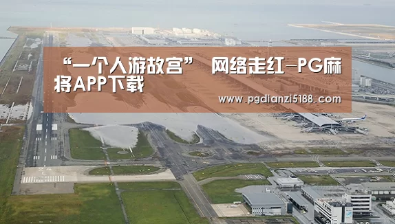 “一个人游故宫” 网络走红-PG麻将APP下载(图1) PG电子官方入口