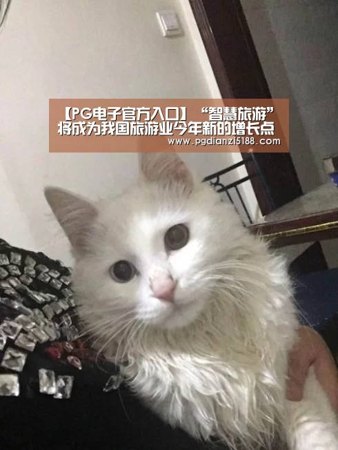 【PG电子官方入口】“智慧旅游”将成为我国旅游业今年新的增长点(图4) PG电子官方入口