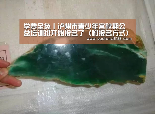 学费全免丨泸州市青少年宫秋期公益培训班开始报名了(附报名方式)_PG麻将APP下载(图1) PG麻将APP下载
