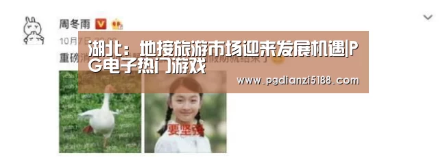 PG电子官方入口