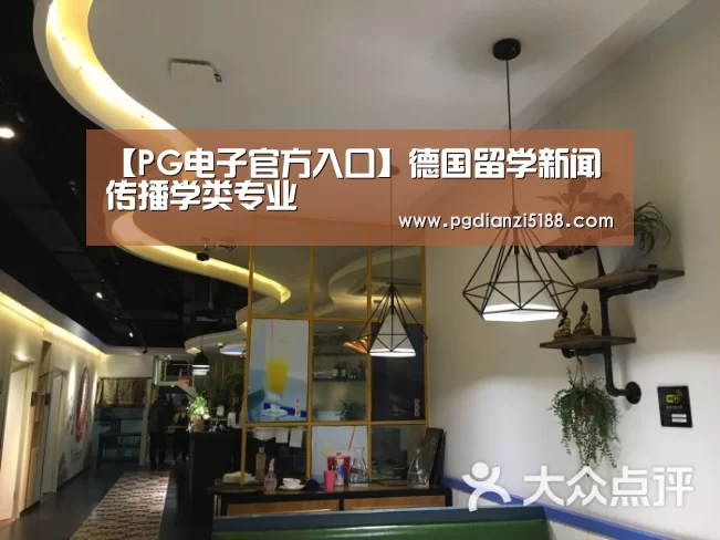【PG电子官方入口】德国留学新闻传播学类专业(图4) PG电子热门游戏