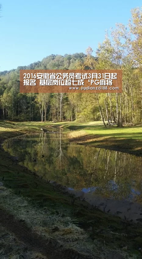 2016安徽省公务员考试3月31日起报名 基层岗位超七成‘PG麻将娱乐’(图3) PG电子热门游戏