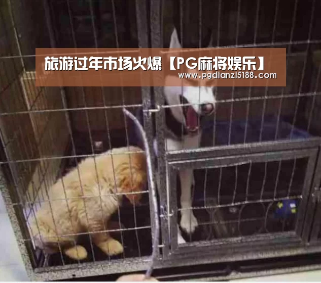 旅游过年市场火爆【PG麻将娱乐】(图1) PG麻将娱乐
