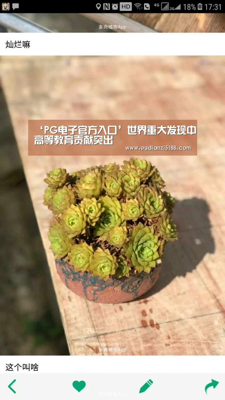 ‘PG电子官方入口’世界重大发现中高等教育贡献突出(图2) PG麻将APP下载